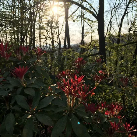 Casa vacanze Hideaway Extertal