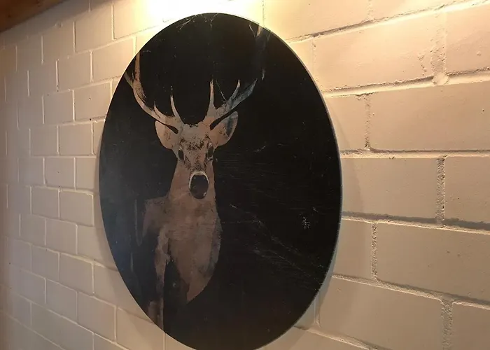 Hideaway * 埃克斯特塔尔