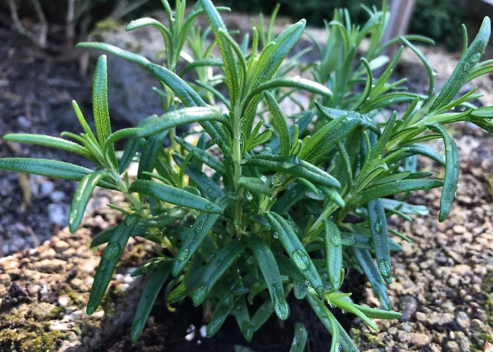 Hideaway 埃克斯特塔尔