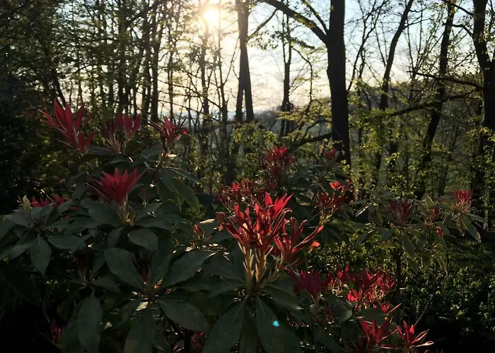 度假居 Hideaway 埃克斯特塔尔